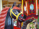 Dare and Roebuck Horses